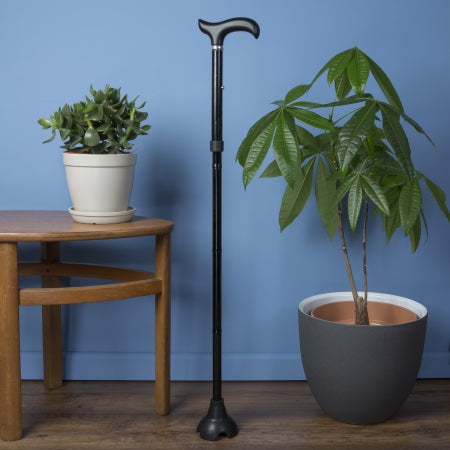 Black Freestanding Folding Walking Stick