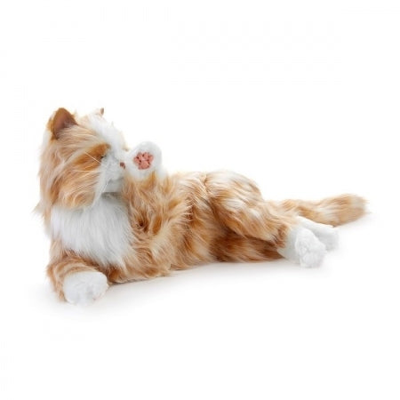 Tabby Cat Dementia Companion Pet