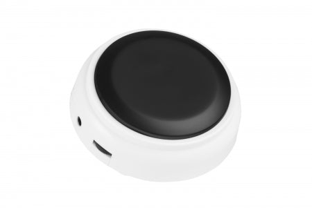 Radio Controlled Talking Button Clock