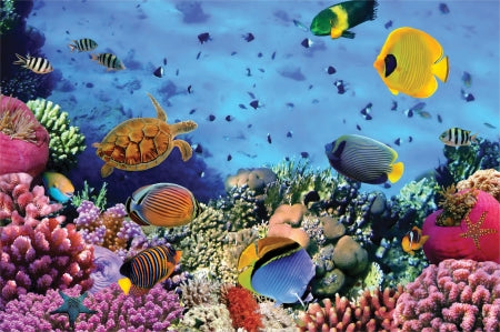 Correl Reef Jigsaw - 1000 Pieces